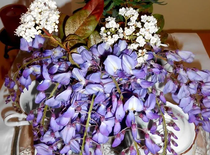 Appartement Angeliki