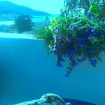 Angeliki 公寓