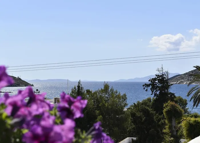 Angeliki كاتابولا